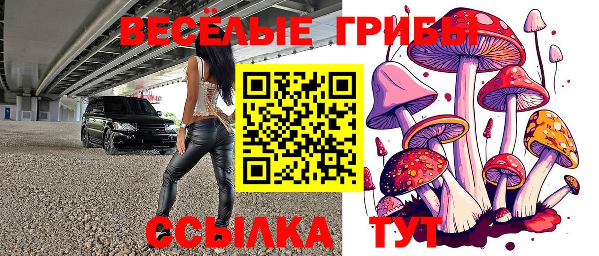 Псилоцибиновые грибы Magic Shrooms  Псилоцибиновые грибы мухоморы  Острогожск  Вход с VPN 