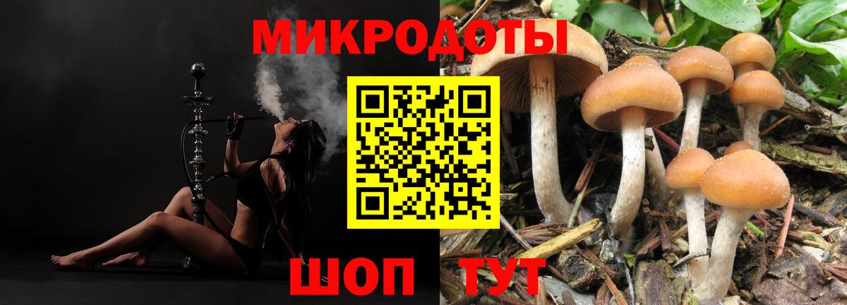 Галлюциногенные грибы MAGIC MUSHROOMS Острогожск